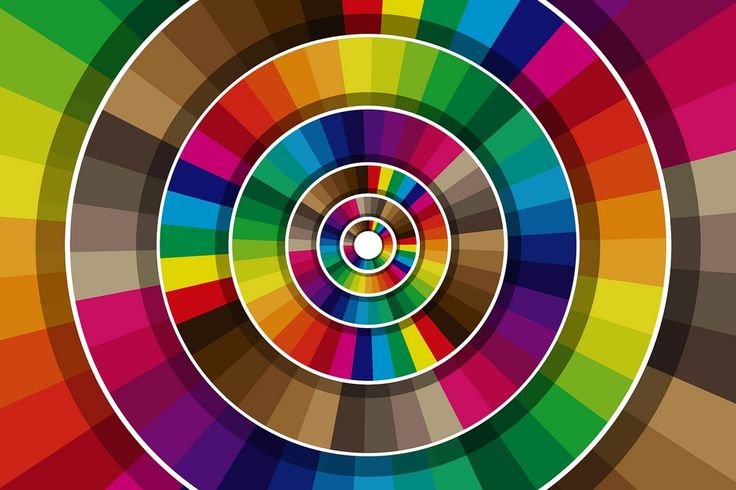 A Color Wheel With Different Color Swatches